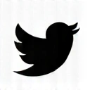 Twitter Icon